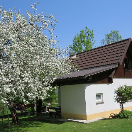 Pocitniska Hiska Jager Cezsoca Villa Exterior photo